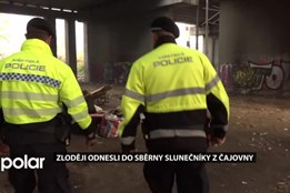 Zloději odnesli do sběrny slunečníky z čajovny. Prý měli policisté přijet dřív