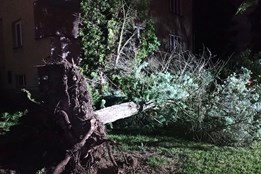 Zlínský kraj potrápily silné bouřky. Hasiči likvidovali škody až do dnešního rána