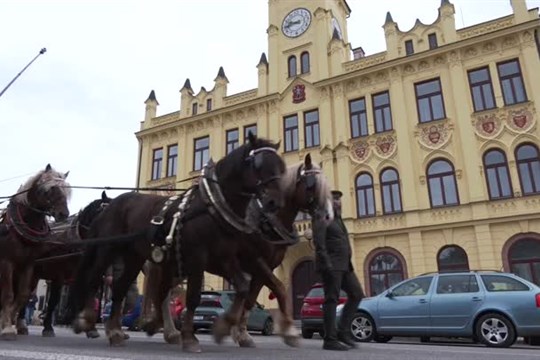 Lomnice hostila Krajský den koně