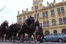 Lomnice hostila Krajský den koně