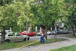 Druhá šance pro lípy na Slovanech. Pomůže jim speciální výživa ke kořenům