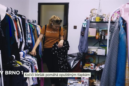 Kočičí blešák pomáhá opuštěným tlapkám