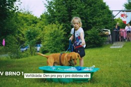 Voříškiáda: Den pro psy i pro dobrou věc