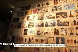 Archeopark v Pavlově má výstavu o Věstonické Venuši