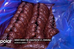 Zveme na srnčí hody, které se uskuteční 21. června v Karviné-Hranicích