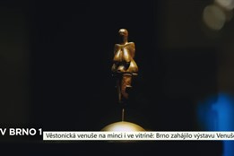 Věstonická venuše na minci i ve vitríně: Brno zahájilo výstavu Venuše100
