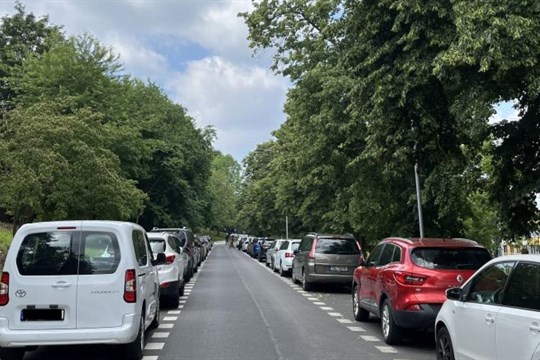 Kvůli prořezávce zeleně se na několik dní uzavře Kollárova ulice v Karlových Varech