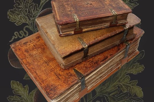 Muzeum Kroměřížska vystaví vzácný herbář, který změnil botaniku