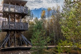 Správa NP Šumava začne projektovat novou rozhlednu na Soumarském rašeliništi. Ta stávající je v havarijním stavu