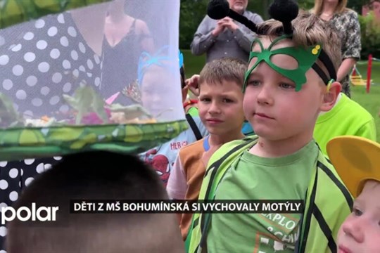 Děti z Mateřské školy Bohumínská si vychovaly motýly, staraly se o ně 14 dní a teď je vypustily