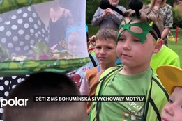 Děti z Mateřské školy Bohumínská si vychovaly motýly, staraly se o ně 14 dní a teď je vypustily