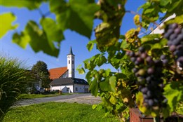Vesnicí roku Zlínského kraje 2025 jsou Nedachlebice