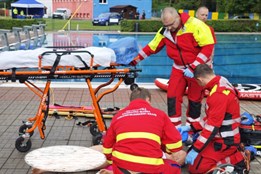 Záchranáři pomáhali dítěti i dospělým po bodnutí hmyzem