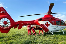 Devítiletou dívku zavalila a vážně zranila dřevěná kláda