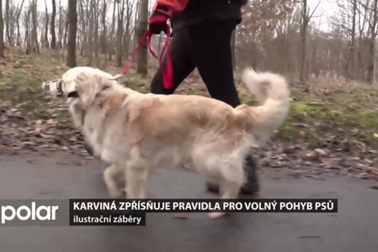 Karviná zpřísňuje pravidla pro volný pohyb psů ve veřejném prostoru