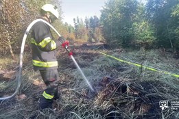 U Nové Hradečné na Olomoucku hořel les. Hasiči vyhlásili třetí stupeň nebezpečí