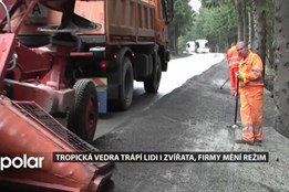 Tropická vedra trápí lidi i zvířata, firmy mění režim, aby chránili zdraví lidí