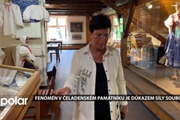 Fenomén v čeladenském památníku je důkazem síly jeleních soubojů