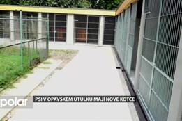 Psi v opavském útulku mají nové kotce. Ty původní odnesly zářijové povodně