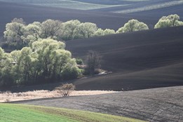 Výstava Linie krajiny je věnovaná sedmdesátinám Josefa Fantury