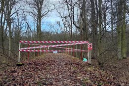 Olomouc opravuje lesní mosty