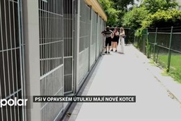 Opavský útulek má nové kotce pro psy. Rekonstrukcí projde i hlavní budova