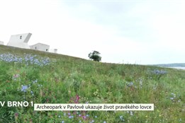 Archeopark v Pavlově ukazuje život pravěkého lovce