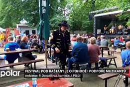 Festival pod Kaštany je o pohodě i podpoře muzikantů