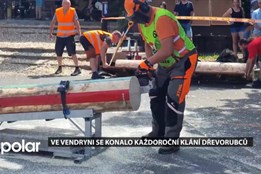 Ve Vendryni se konalo každoroční klání dřevorubců, lidé dražili díla řezbářů