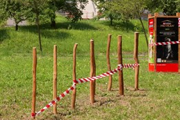 Na sídlišti Pod Vinohrady vzniká nové psí hřiště