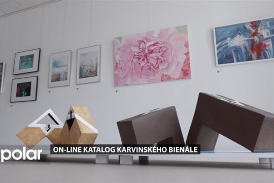 Karvinské bienále má svůj vlastní on-line katalog s veškerými dostupnými informacemi o výstavě