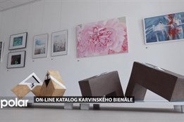 Karvinské bienále má svůj vlastní on-line katalog s veškerými dostupnými informacemi o výstavě