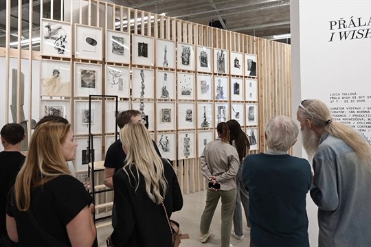 „Přála bych si být stvořena z kamene“. Expozice Lucie Tallové v Telegraph Gallery