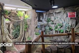 Zoo Ostrava kompletně zrekonstruovala svůj nejmenší pavilon, představuje deštné lesy Amazonie