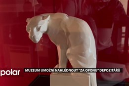 Muzeum Novojičínska umožní nahlédnout “za oponu” depozitářů