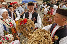 Oslavte letos dožínky Plzeňského kraje v Manětíně