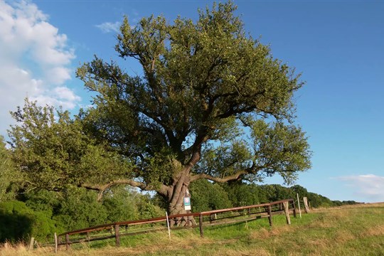 Magazín Uherské Hradiště 26. 7. 2025