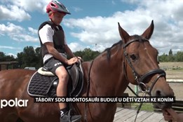 Tábory SDO Brontosauři budují u dětí vztah ke koním, vyzkouší si jízdy i práci kolem nich