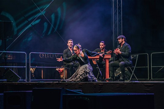 Olomouc roztančilo španělské flamenco