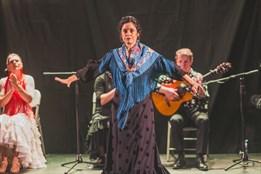 Před zlínským zámkem se bude tančit flamenco