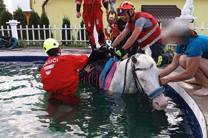 Hasiči zachraňovali koně, který spadl do bazénu