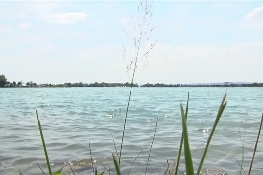 Plumlovská přehrada není vhodná ke koupání