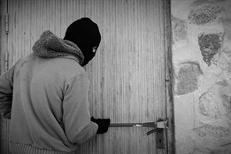 Pětice mladíků kradla veterány – škoda téměř milion