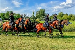 Policejní koně a další složky se předvedli na oslavách 100 let tlumačovského hřebčince