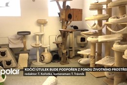 Ostrava podpoří útulek pro kočky v Přívoze. Peníze půjdou z Fondu životního prostředí