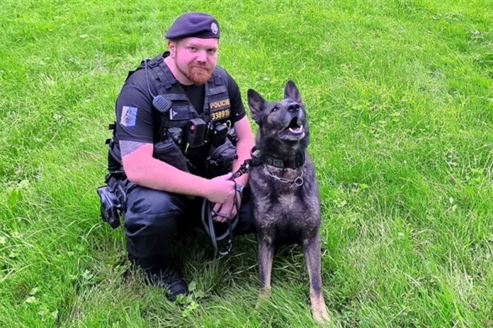 Služební pes přivedl policisty ke dvěma pachatelům vloupání