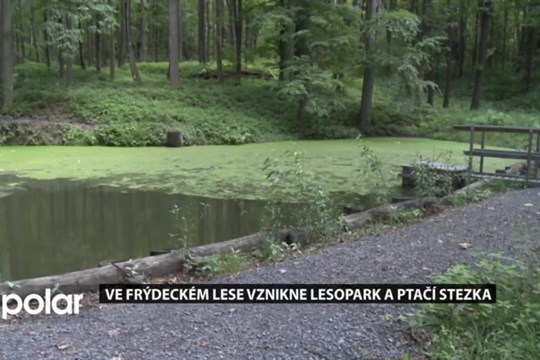 Ve Frýdeckém lese vznikne lesopark a ptačí stezka