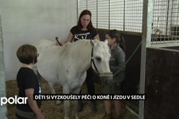 Péče o koně i jízda v sedle. Děti z Frýdku-Místku vyjely v rámci tábora do jízdárny