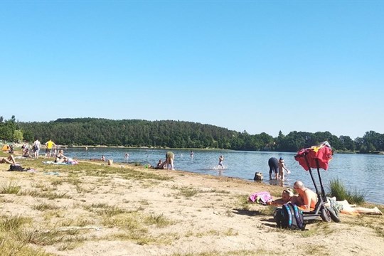 Počasí ochladilo vodu v rybnících v Plzeňském kraji, ale také nepřálo sinicím