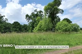 Mikulčické hradiště je stále živá archeologická lokalita